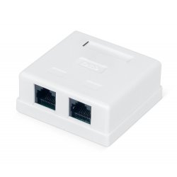 RC19 CS-8P8C-C5e-2 Розетка компьютерная RJ-45, категория 5e, двойная, внешняя, Dual IDC
