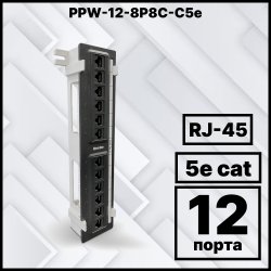 PPW-12-8P8C-C5e Патч-панель настенная, 12 портов RJ-45(8P8C), категория 5е, с подставкой