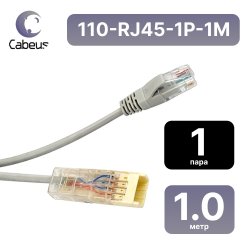 Патч-корд 110 тип-RJ45 тип, 1 пара, 1 м. MAXYS110-RJ45-1P-1M фото