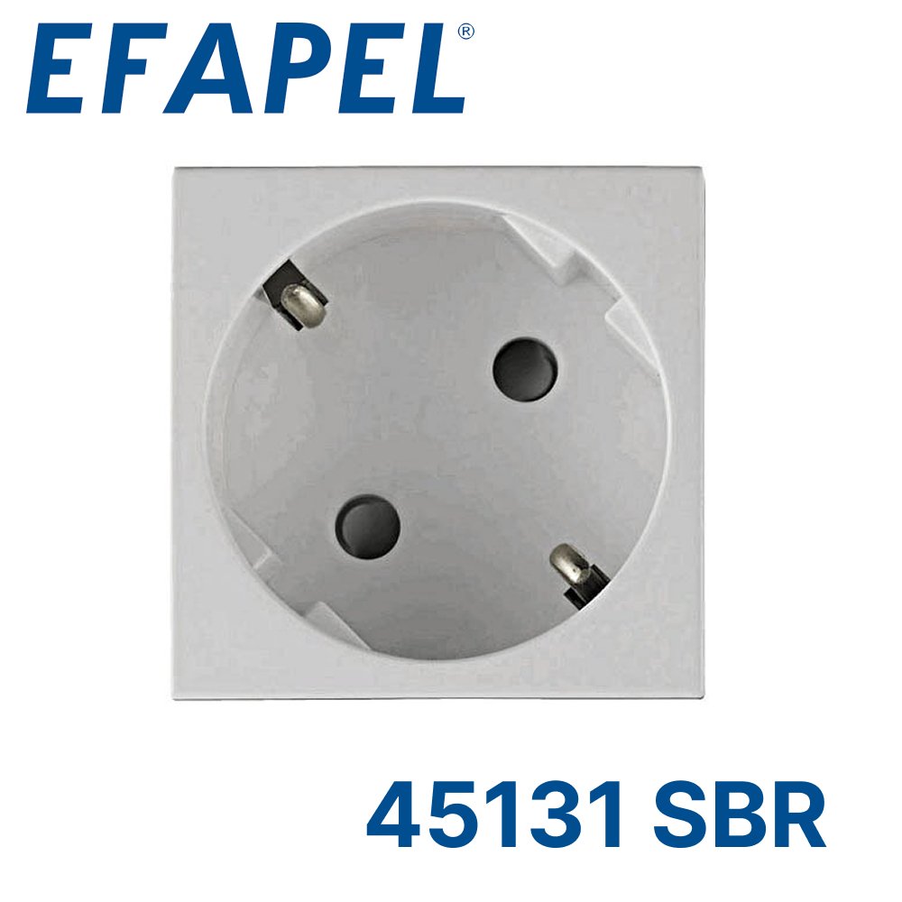 45131 SBR EFAPEL Розетка 220В 2к+з,45х45мм,белая