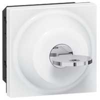 LEGRAND 77072 Выключатель 2-х позиционный с ключом, 2М, Mosaic