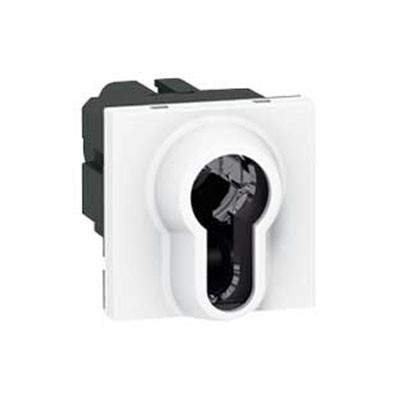 LEGRAND 77074 Выключатель 2-х позиционный с ключом, 2М, евроцилиндр, Mosaic