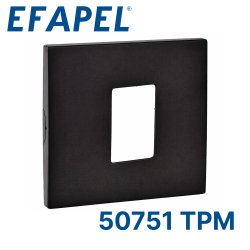 ЛИЦ ПАНЕЛЬ ДЛЯ РОЗЕТКИ RJ45, МАТ ЧЕРНЫЙ (50751 TPM)