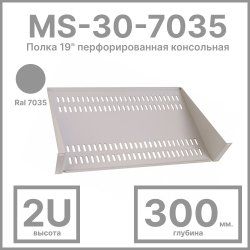 RC19 MS-30-7035 Полка 19 перфорированная консольная 2U, глубина 300мм, цвет серый Ral 7035