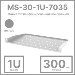 RC19 MS-30-1U-7035 Полка 19 перфорированная консольная 1U, глубина 300мм, цвет серый Ral 7035