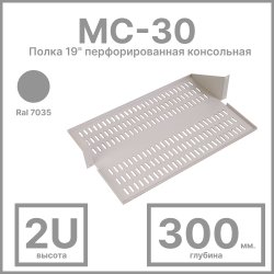Полка перфорированная консольная 2U, глубина 300 мм