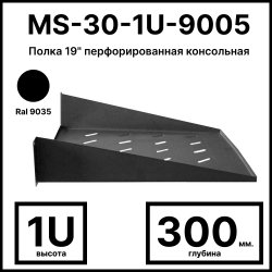 RC19 MS-30-1U-9005 Полка 19 перфорированная консольная 1U, глубина 300мм, цвет черный Ral 9005