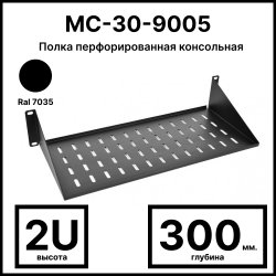 Полка перфорированная консольная 2U, глубина 300 мм, цвет черный