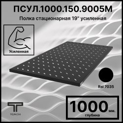 ТЕЛКОМ ПС.1000.150.9005 Полка стационарная 19