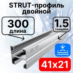 STRUT-профиль двойной 41х21х300 мм, толщина 1,5 мм, сендзимирСПД210315 фото