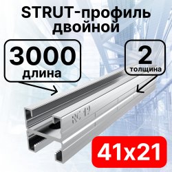 STRUT-профиль  двойной 41х21х3000 мм, толщина 2 мм