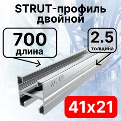 STRUT-профиль  двойной 41х21х700 мм, толщина 2,5 ммСПД210725 фото